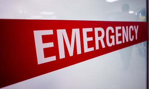 emergency pet hospital